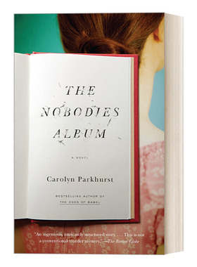 英文原版 The Nobodies Album 什么愿望都没实现的夏天 女性惊悚心理小说 Carolyn Parkhurst 英文版 进口英语原版书籍