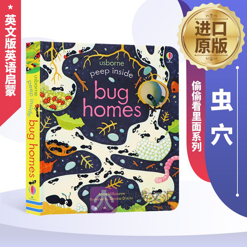 儿童昆虫科普 英文原版绘本  自然世界 洞洞书 纸板翻翻书 英文版英语