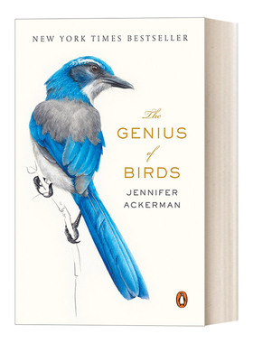 英文原版 The Genius of Birds 鸟类的天赋 自然科普 豆瓣高分推荐 Jennifer Ackerman 英文版 进口英语原版书籍