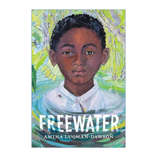 英文原版Freewater游离水