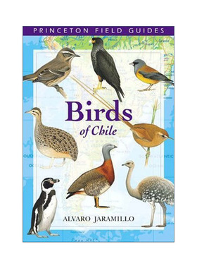 英文原版 Birds of Chile 智利鸟类 普林斯顿野外指南 Alvaro Jaramillo英文版 进口英语原版书籍