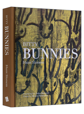 英文原版 Bitty Bunnies 抽象绘画小兔子画集 Hunt Slonem国际知名艺术大师亨特·斯隆印象主义 精装 英文版 进口英语原版书籍