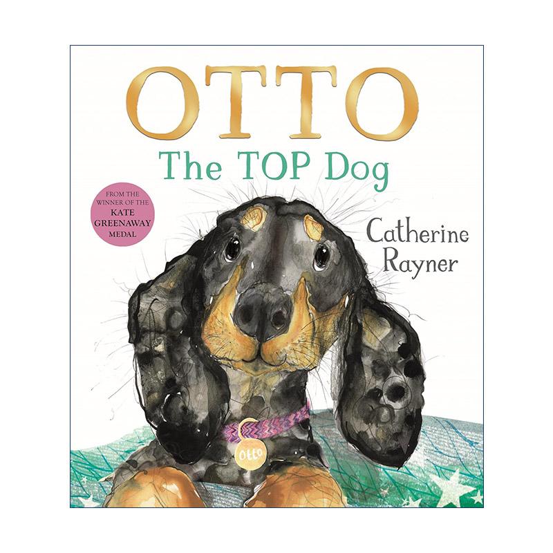 英文原版 Otto The Top Dog 狗王奥托 凯特·格林纳威奖得主Catherine Rayner 儿童动物故事绘本精装 英文版 进口英语原版书籍