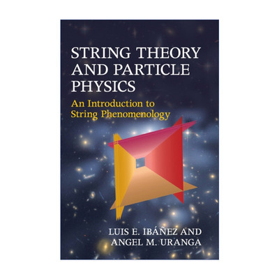 英文原版 String Theory and Particle Physics 弦论和粒子物理 Luis E. Ibanez 精装 英文版 进口英语原版书籍