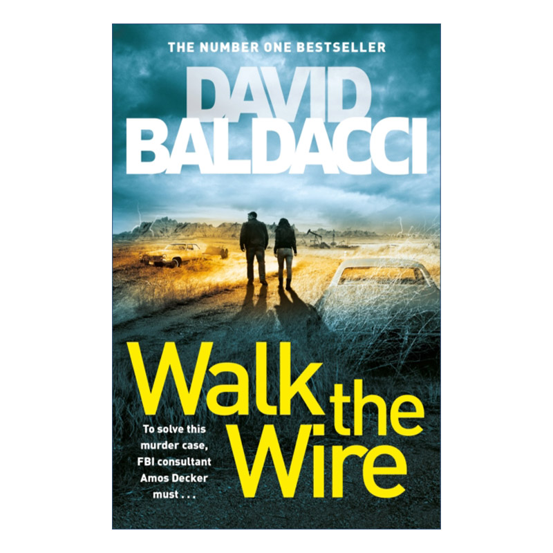 英文原版小说 Walk the Wire 走钢丝 惊悚悬疑小说 Amos Decker Series 6 英文版 进口英语原版书籍