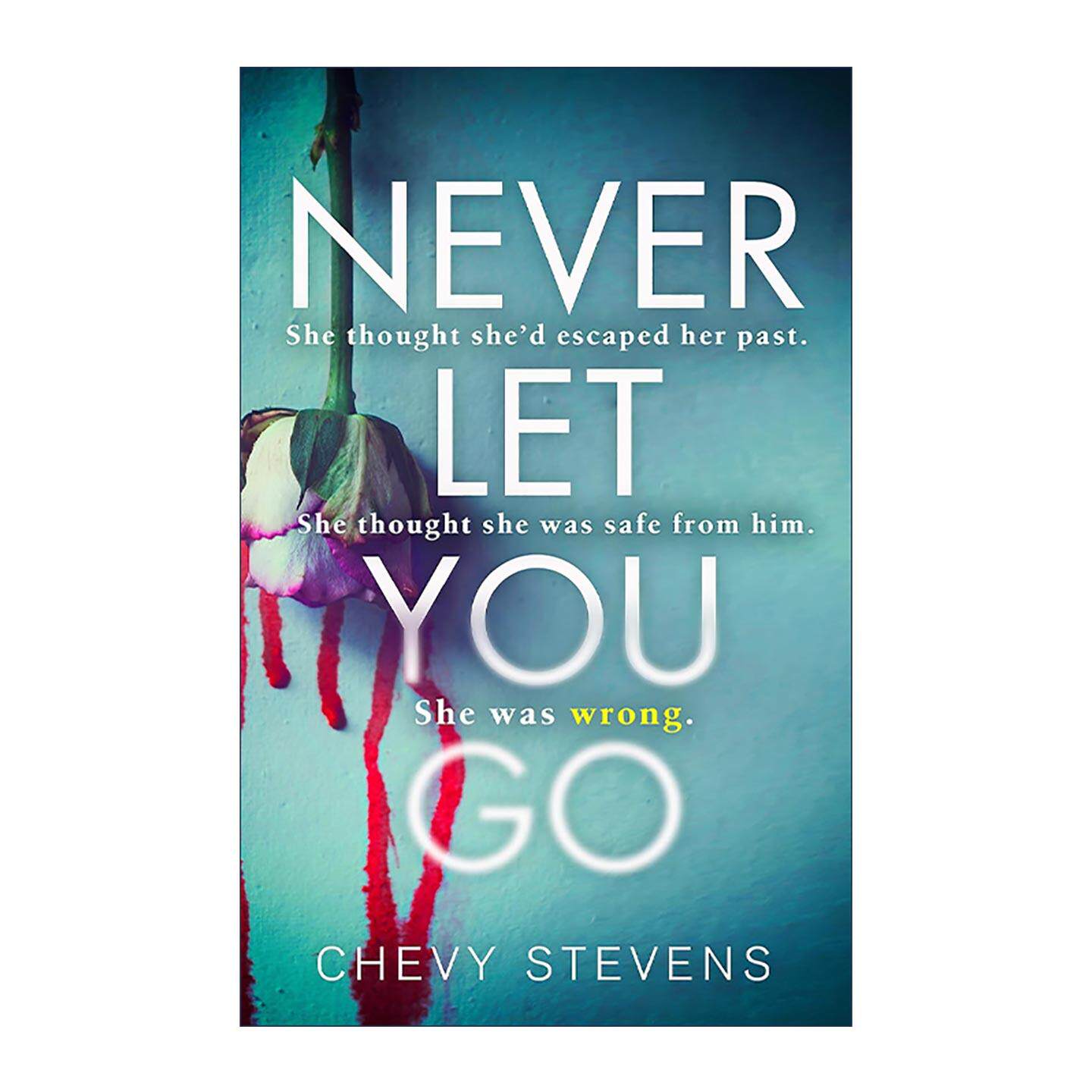 英文原版 Never Let You Go 无处可逃 惊悚悬疑心理小说 雪薇·史蒂文斯 Chevy Stevens 英文版 进口英语原版书籍