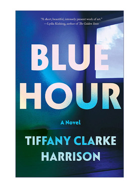 英文原版 Blue Hour 蓝色时刻 Tiffany Clarke Harrison 奥巴马2023夏季书单 英文版 进口英语原版书籍