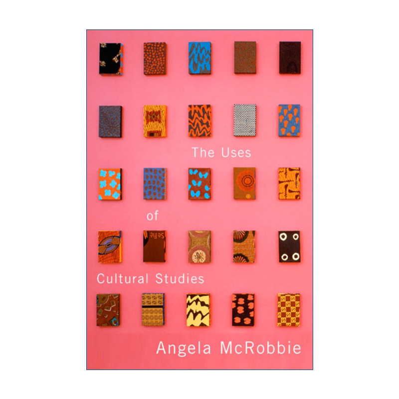 英文原版 The Uses of Cultural Studies 文化研究的用途 安吉拉·默克罗比 英文版 进口英语原版书籍