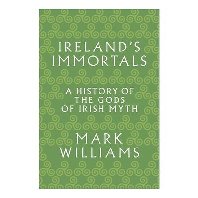 英文原版 Ireland's Immortals 爱尔兰的神 爱尔兰神话中神的历史 中世纪 凯尔特 牛津大学研究员Mark Williams 进口英语原版书籍