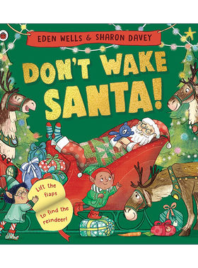 英文原版 Don't Wake Santa 别叫醒圣诞老人 寻找失踪的迷路 儿童绘本 英文版 进口英语原版书籍