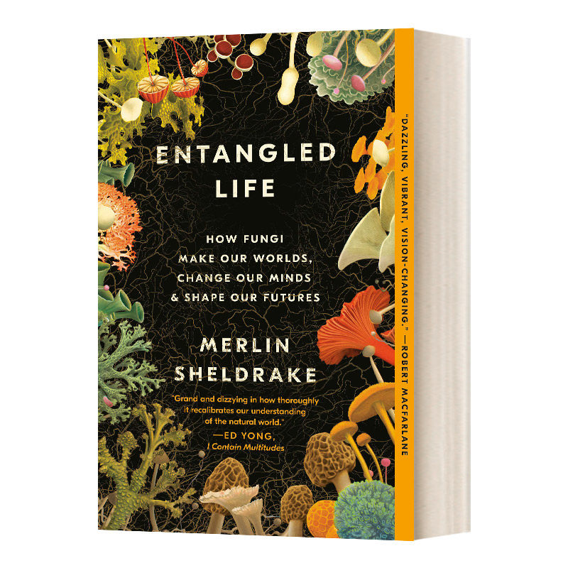 英文原版 Entangled Life 纠缠的生命 真菌如何创造我们的世界 英文版 进口英语原版书籍