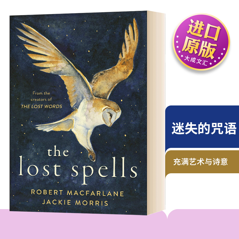 精装迷失的咒语英语小说