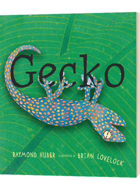 英文原版绘本 Gecko 壁虎 5-9岁儿童动物科普读物 Raymond Huber 精装 进口英语原版书籍