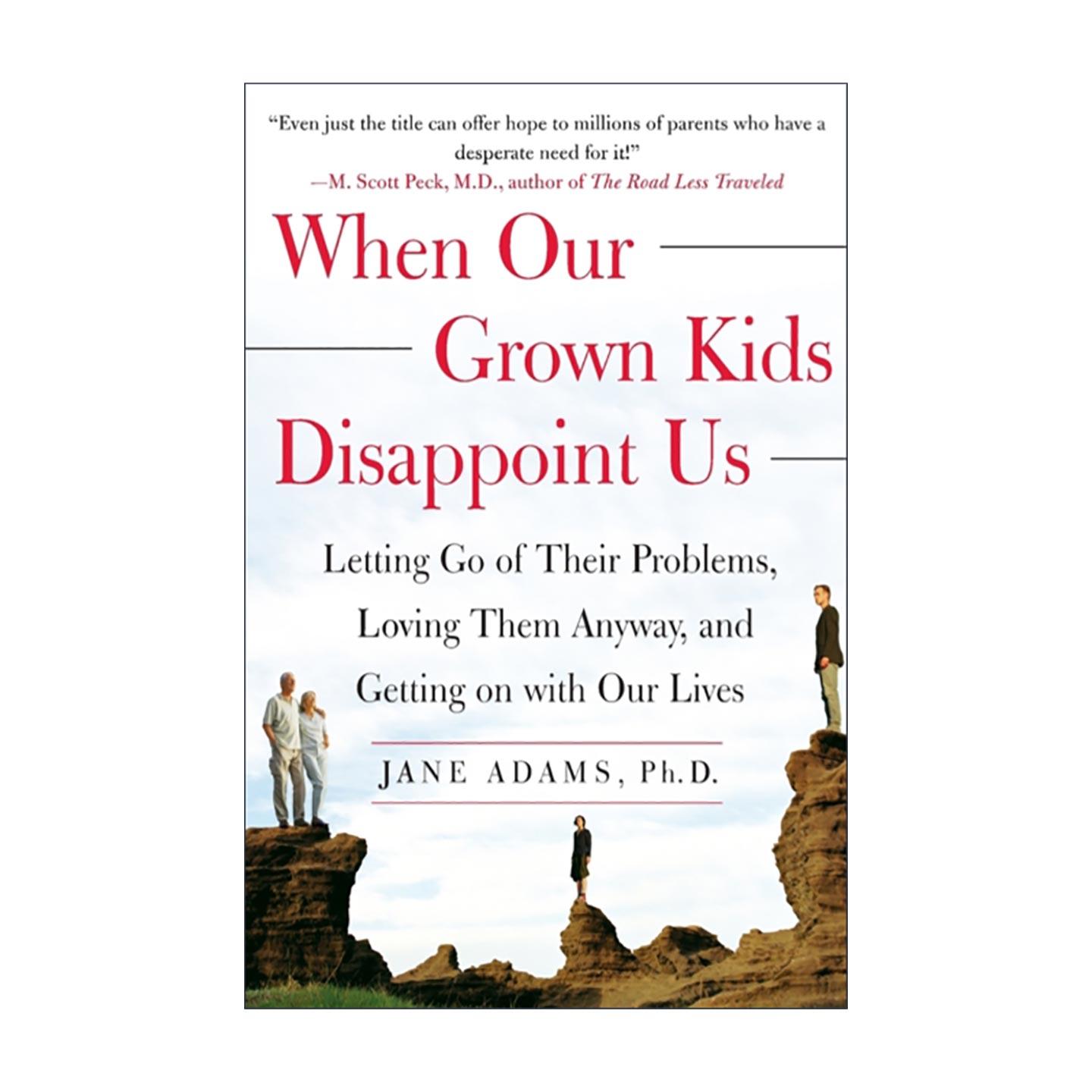 英文原版 When Our Grown Kids Disappoint Us当成年子女让我们失望 放下他们的困境 依然爱他们 过好自己的人生 进口英语原版书籍