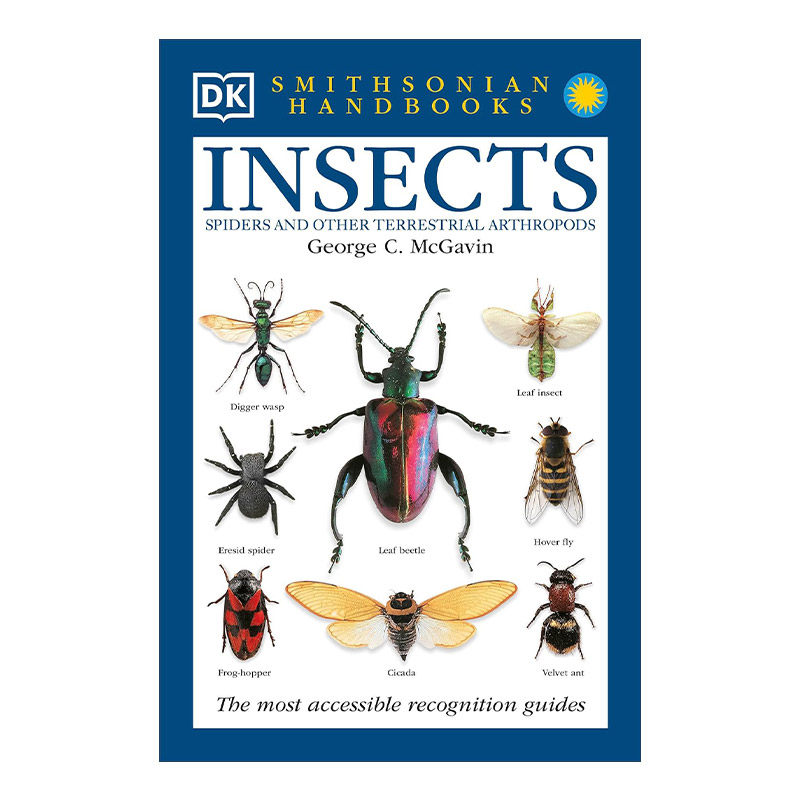 英文原版 DK Handbooks Insects 昆虫 全世界550多种昆虫蜘蛛和陆生节肢动物的彩色图鉴 DK科普百科 英文版 进口英语原版书籍