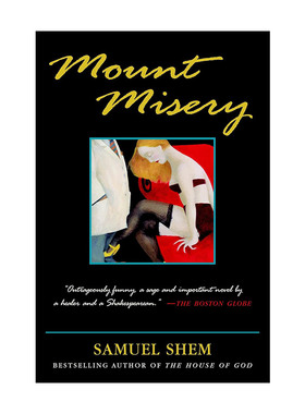 英文原版 Mount Misery 悲惨山 医疗惊悚小说 Samuel Shem 英文版 进口英语原版书籍