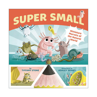 了不起 Super 儿童精装 英文原版 杰作作者Ashley 进口英语原版 自然界 英文版 Small 书籍 微型奇迹 Spires 科普百科绘本