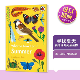 Ladybird出版 节知识百科科普书 Summer For 寻找夏天What Look 季 英文原版 青少年中小学生英语课外阅读读物 进口