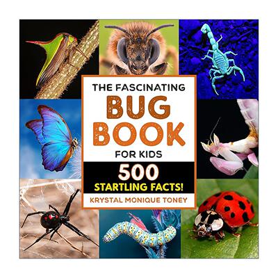 英文原版 The Fascinating Bug Book for Kids 迷人的儿童昆虫书 全彩插图自然生物科普百科 英文版 进口英语原版书籍