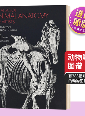 动物解剖图谱 英文原版 An Atlas of Animal Anatomy for Artists 动物绘画技巧参考书 英文版进口原版英语艺术类书籍