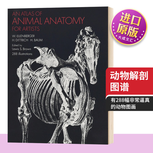 动物解剖图谱英文原版