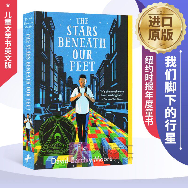 the stars beneath our feet 英文原版小说 我们脚下的行星   纽约