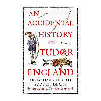 英文原版 An Accidental History of Tudor England 都铎英格兰的偶然历史 英文版 进口英语原版书籍