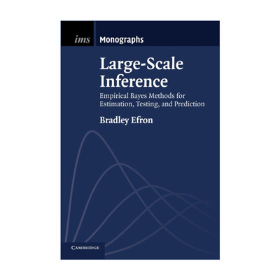 英文原版 Large-Scale Inference 大规模统计推断 数理统计学会专著系列 英文版 进口英语原版书籍