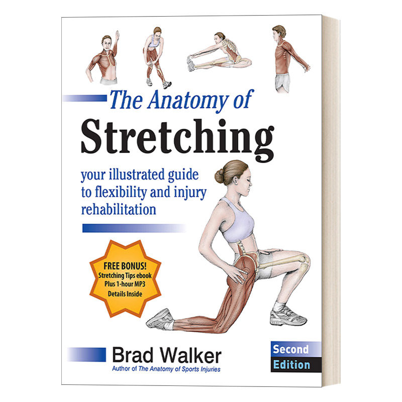 英文原版 The Anatomy of Stretching Second Edition 酸痛拉筋解剖书 第二版 英文版 进口英语原版书籍