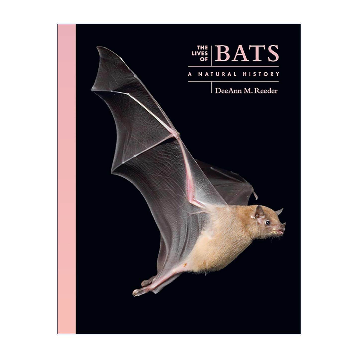 英文原版 The Lives of Bats 蝙蝠的生活 一部自然史 生物学教授DeeAnn M. Reeder 普林斯顿 精装 英文版 进口英语原版书籍