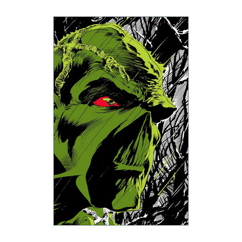 英文原版 Absolute Swamp Thing by Len Wein and Bernie Wrightson 沼泽怪物绝对版 DC漫画 精装收藏版 英文版 进口英语原版书籍