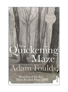 英文原版 The Quickening Maze 不断深陷的迷惘 亚当·福尔兹历史小说 布克奖提名 英文版 进口英语原版书籍