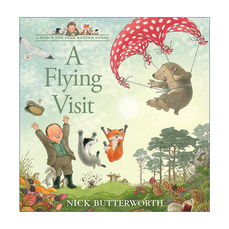 英文原版 A Flying Visit 刺猬的飞行 帕西爷爷的爱心公园系列绘本 英文版 进口英语原版书籍