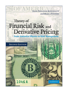 英文原版 Theory of Financial Risk and Derivative Pricing 金融风险和衍生证券定价理论 Jean-Philippe Bouchaud 英文版
