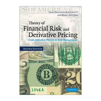 英文原版 Theory of Financial Risk and Derivative Pricing 金融风险和衍生证券定价理论 Jean-Philippe Bouchaud 英文版