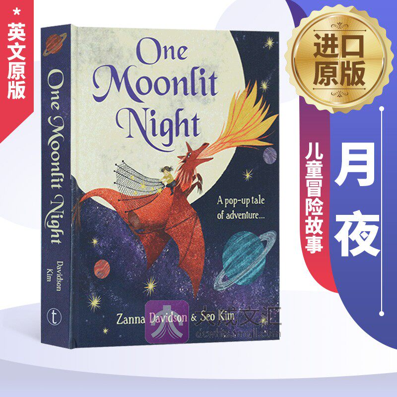One Moonlit Night 英文原版 月夜 精装立体书 翻页弹出式立体绘本 英文版儿童冒险故事书 进口原版英语书籍