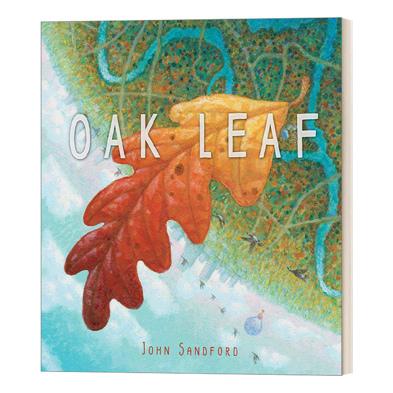 英文原版绘本 oak leaf 橡树叶 john sandford 儿童绘本 艺术美感培育
