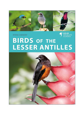 英文原版 Birds of the Lesser Antilles 小安的列斯群岛鸟类图鉴 英文版 进口英语原版书籍