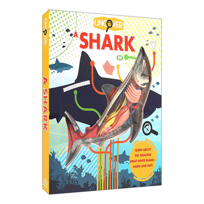 英文原版 Uncover a Shark 揭秘鲨鱼 洞洞书 精装 英文版 进口英语原版书籍