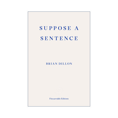 英文原版 Suppose a Sentence 句子的要义 布莱恩·狄龙 英文版 进口英语原版书籍