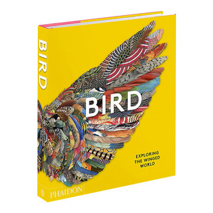 探索有翅膀 Bird World 英文原版 世界 进口英语原版 the 英文版 Exploring 书籍 Winged 科学科普图鉴画册 鸟类