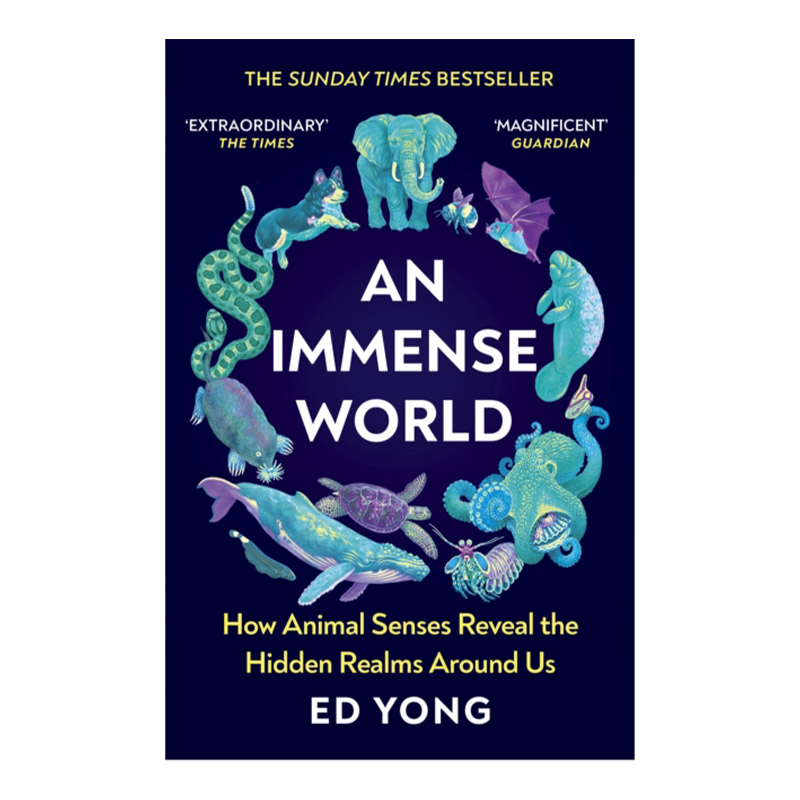 英文原版AnImmenseWorld