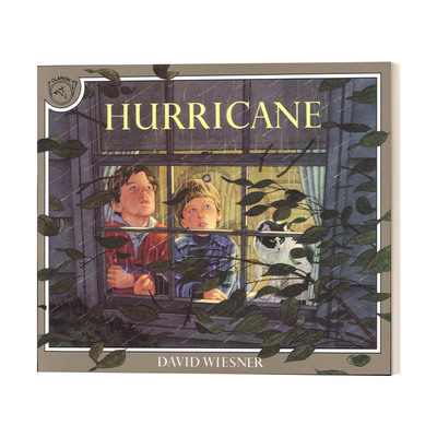 英文原版 Hurricane 飓风 大开平装绘本 汪培珽第五5阶段书单 David Wiesner 大卫·威斯 英文版 进口英语原版书籍