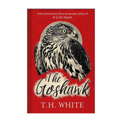 英文原版 The Goshawk 苍鹰 永恒之王作者T.H. White怀特 精装 英文版 进口英语原版书籍