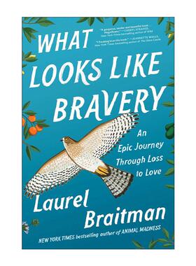 英文原版 What Looks Like Bravery 英文版 进口英语原版书籍