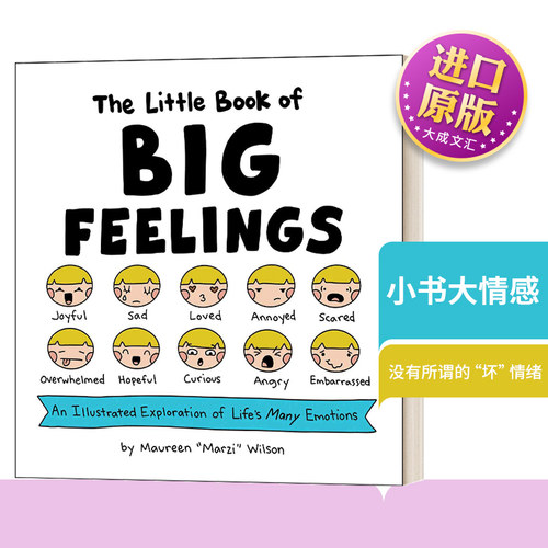 精装小书大情感英文原版