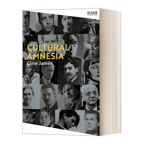 英文原版 Cultural Amnesia 文化失忆 英文版 进口英语原版书籍