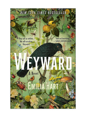 英文原版 Weyward 2023 Goodreads年度历史虚构小说 英文版 进口英语原版书籍