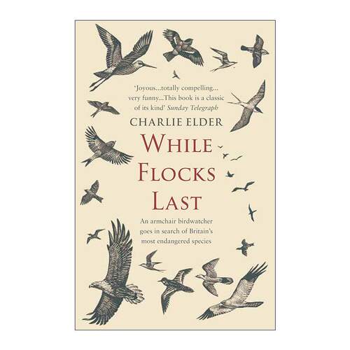 英文原版 While Flocks Last 趁鸟群仍在 守护鸟类的当下行动 Charlie Elder 自然环保书籍 英文版 进口英语原版书籍