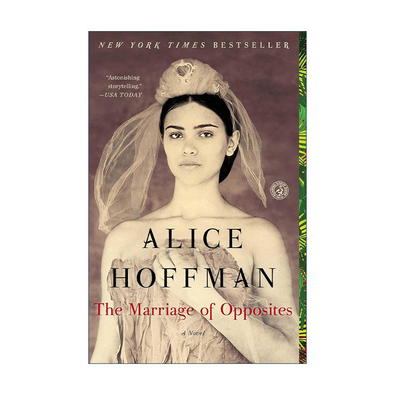 英文原版 The Marriage of Opposites 对立面的婚姻 Alice Hoffman 英文版 进口英语原版书籍